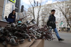 Священник назвал суеверием традицию бить веточками вербы для здоровья
